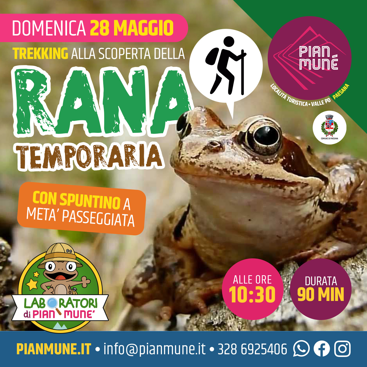 Pian Mun Di Paesana Passeggiata Alla Scoperta Della Rana Temporaria