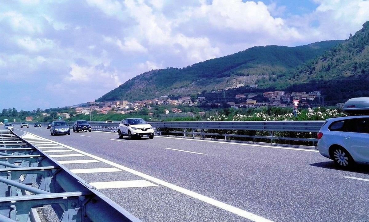 Al Via La Seconda Fase Del Taglio Di Alberi Lungo La Statale Padana