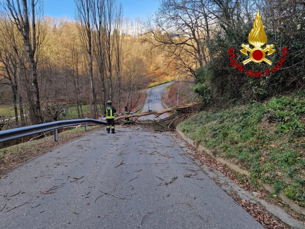 Tempesta Di Vento Danni Nel Torinese Le Raffiche A Oltre 200 Km H