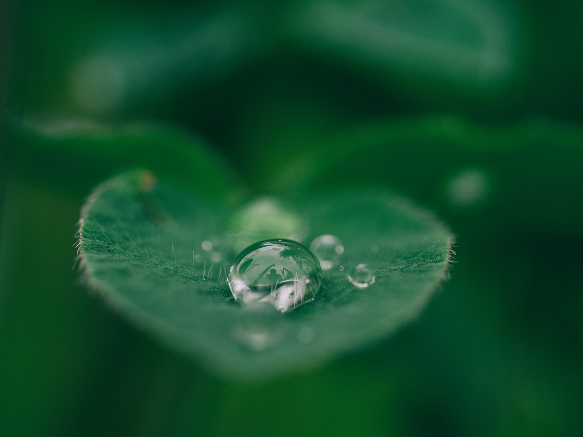 Sbalorditivi vantaggi dei depuratori d'acqua che cambieranno la tua vita!