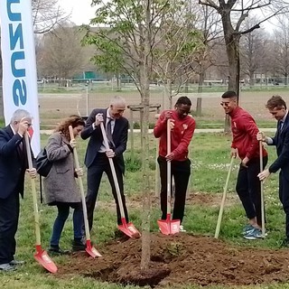 Piazza d'Armi, Toro e Suzuki schierano 11 ciliegi giapponesi a pochi passi dallo stadio per battere la Co2 [FOTO]