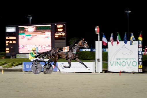 Vinovo, al Gran Premio Marangoni brillano le stelle di  Frank Gio e Funny Gio