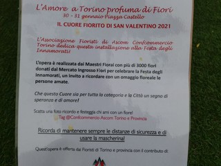 Un cuore di 3 mila fiori in piazza Castello per festeggiare San Valentino  (FOTO) - Torino Oggi