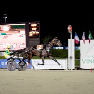 Vinovo, al Gran Premio Marangoni brillano le stelle di  Frank Gio e Funny Gio