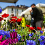 Domenica nel 'salotto' di piazza Vittorio Veneto torna l'appuntamento con Agriflor