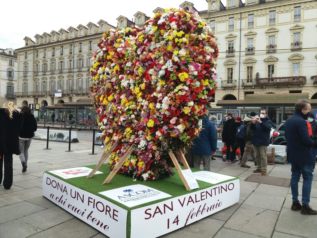 Un cuore di 3 mila fiori in piazza Castello per festeggiare San Valentino  (FOTO) - Torino Oggi