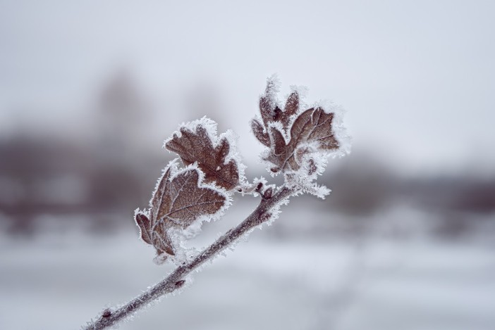 meteo freddo