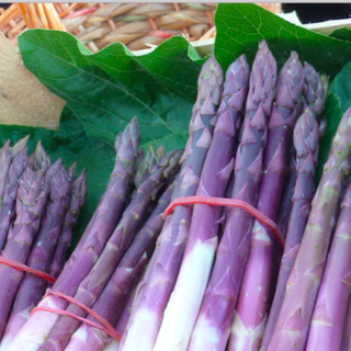 Serata speciale con l'asparago violetto di Albenga all'Osteria del Tempo Stretto!