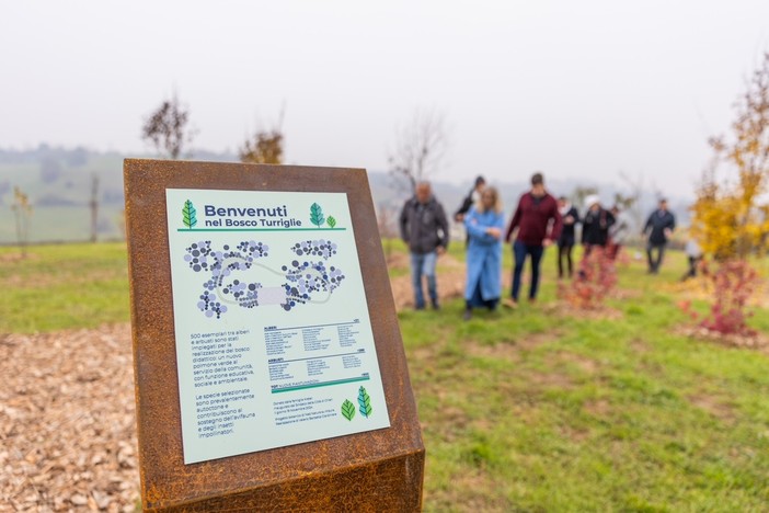 Bosco Turriglie: un’oasi di natura e educazione a Chieri con 500 alberi piantati