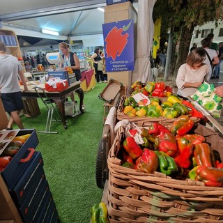 Mancano tre giorni alla 75ma edizione della Fiera Nazionale del Peperone di Carmagnola