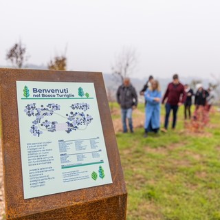 Nuova vita per il Bosco Turriglie a Chieri: piantati oltre cinquecento esemplari di alberi e arbusti