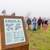 Bosco Turriglie: un’oasi di natura e educazione a Chieri con 500 alberi piantati