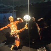 Body Worlds Vital