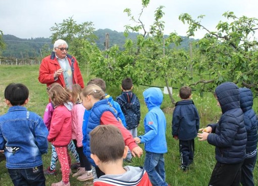 Il maestro Francesco Aglì nei campi con i bambini