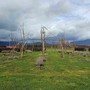 Azienda agricola a Cumiana