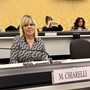 L'assessore Chiarelli