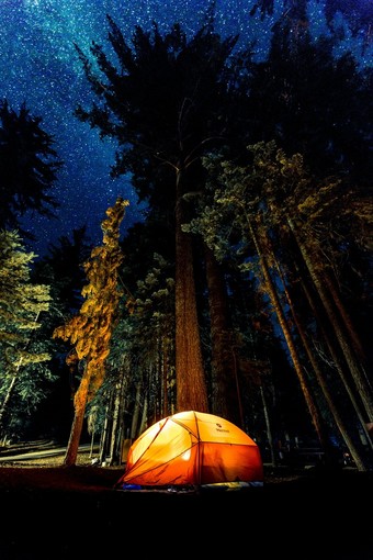 Tra natura e relax: scopri come andare in vacanza in camping