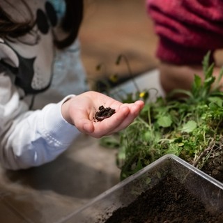 Conclusa la seconda edizione di Coltivato, il  Festival Internazionale dell’Agricoltura