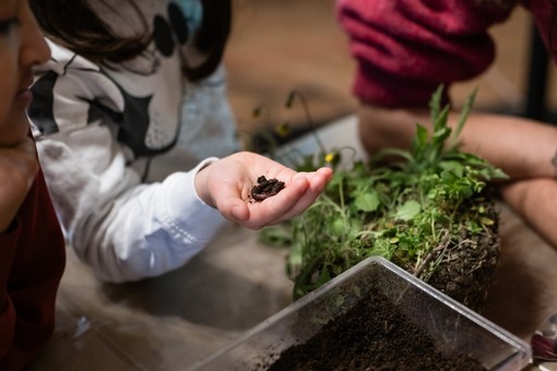 Conclusa la seconda edizione di Coltivato, il  Festival Internazionale dell’Agricoltura