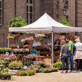 A Moncalieri città del verde arriva Florì, la mostra mercato delle eccellenze florovivaistiche