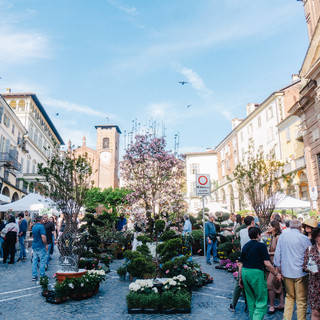 Con &quot;Giardino in Miniatura&quot; il vademecum di Moncalieri per far fiorire i propri balconi