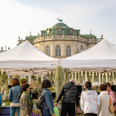 Nel weekend la natura si dà appuntamento alla Palazzina di Stupinigi