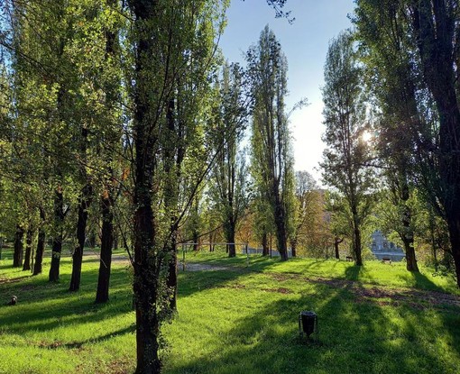 I Giardini Ginzburg, destinati ad ospitare la ruota panoramica