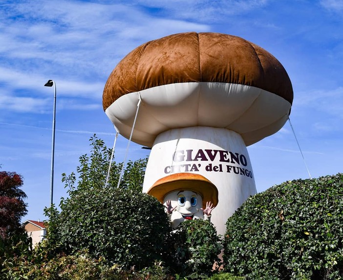 Giaveno si prepara a diventare la capitale dei funghi