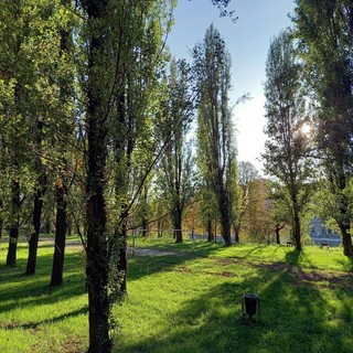 Salta la collocazione ai Giardini Ginzburg e in altre location