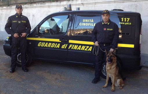 Evade gli arresti domiciliari: arrestato dalla Guardia di Finanza a Lingotto