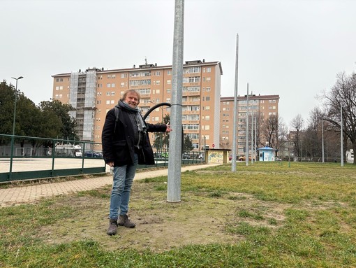 I pali in ferro del giardino Pugno