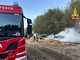 Rosta, vanno a fuoco le rotoballe di un campo: intervengono i vigili del fuoco