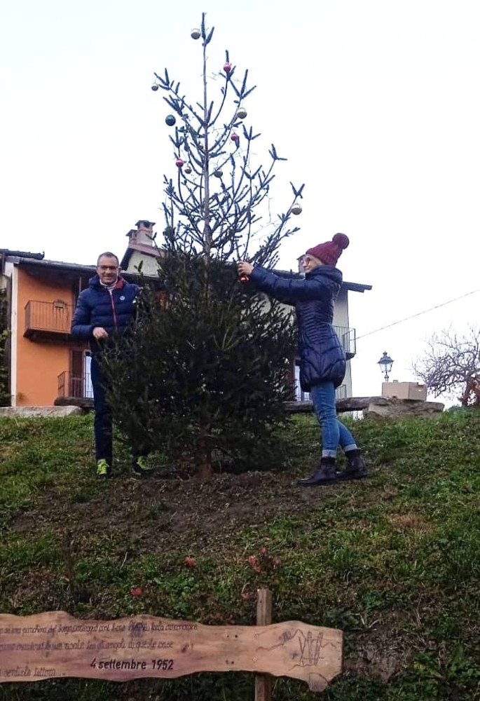 L’abete in ricordo di Tesio Gulmini