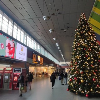 albero di natale porta nuova