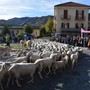 A rischio la sfilata della prossima Fiera dei Santi