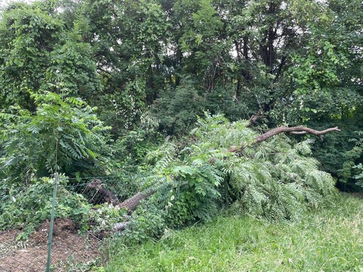 L’area prima della bonifica