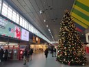 albero di natale porta nuova