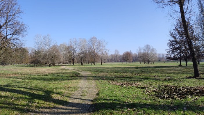 Cittadella dello Sport al Meisino, Sinistra Ecologista chiede garanzie: “Il parco è patrimonio di tutti”