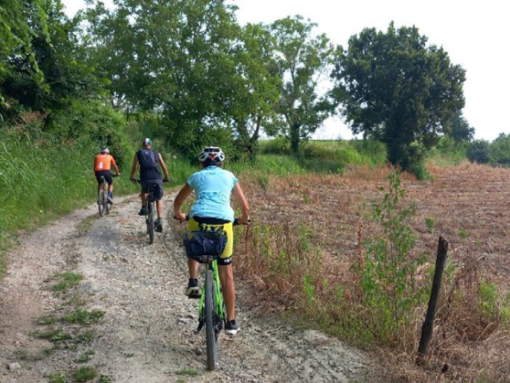 Domenica pedalate sulla collina torinese con Turismo Torino