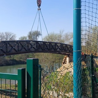 Il montaggio della passerella sul Rio Sappone