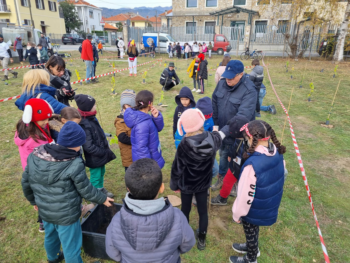 Una piantumazione a Pinerolo fatta da Pini x Pine con il Rotary