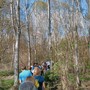 A Carmagnola, passeggiata e concerto silenzioso nel Bosco del Gerbasco