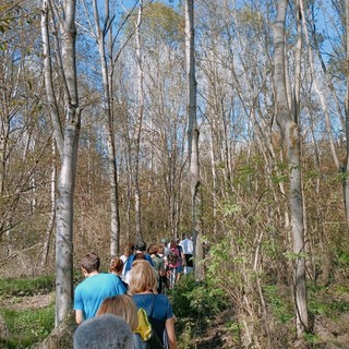 A Carmagnola, passeggiata e concerto silenzioso nel Bosco del Gerbasco