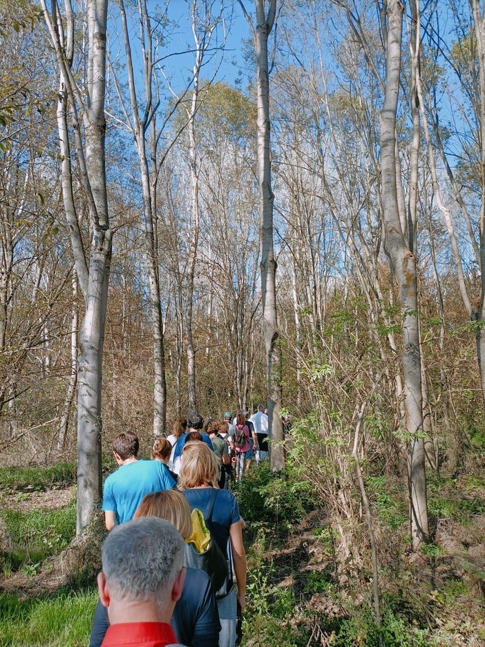 A Carmagnola, passeggiata e concerto silenzioso nel Bosco del Gerbasco