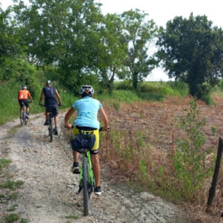 Domenica pedalate sulla collina torinese con Turismo Torino