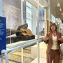 Dalla chitarra di Mazzini alle pantofole di Garibaldi: cimeli e video in mostra al Museo del Risorgimento [FOTO]