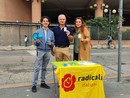 Radicali cannabis