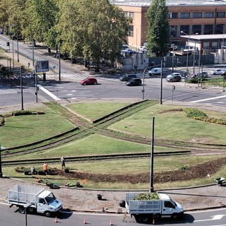 Bruciata dal sole l'onda gialla di fiori che aveva accolto i ciclisti del Tour a Torino