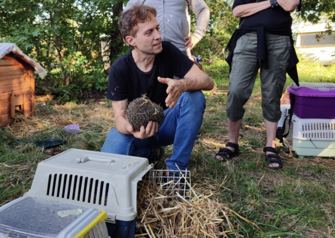 Il centro ricci &quot;La Ninna&quot; in difesa del Meisino: &quot;Posticipate i lavori per salvare gli animali&quot;