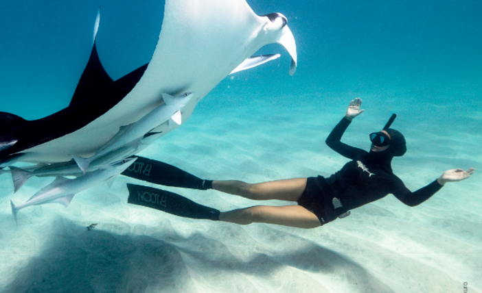 La magia dell'oceano sul grande schermo: il Cinema Massimo ospita la tappa torinese dell'Ocean Film Festival